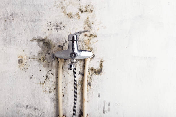 Best Professional Mold Removal  in Villa Hills, KY